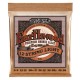 Acoustique 12 cordes Light ERNIE BALL Earthwood Phosphor Bronze