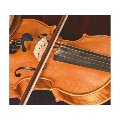 PRODIPE Micro Violon