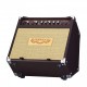 SHERWOOD 20 - Ampli Combo Acoustique