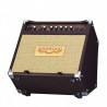 SHERWOOD 20 - Ampli Combo Acoustique