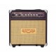 SHERWOOD 20 - Ampli Combo Acoustique