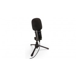Zoom ZUM-2 - Micro USB - Studio / Podcast