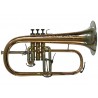 Bugle sib GENEVA Cardinal - Verni gravé