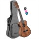 CASCHA Ukulele Concert Electro-Acoustique Mahogany 