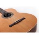 Prodipe RECITAL 200 - Guitare classique