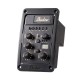 Shadow Nanoflex onboard preamp/tuner - Classic Guitar