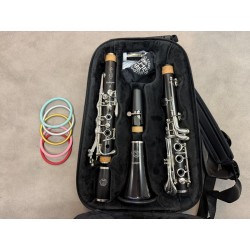 Clarinette Sib SELMER Prologue Delta
