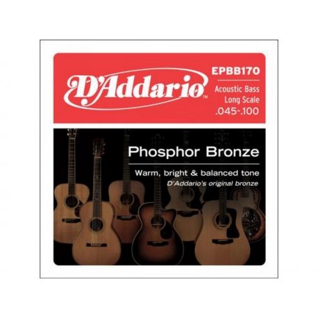 Cordes Guitare Basse Acoustique 045-100