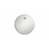 Peau Banjo Remo 11-1/8"