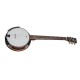 Banjo/Guitare VGS 6 cordes + Coffre