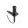 Micro large diaph. + fixation - AT2035