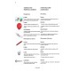Cahier d'exercices de base Trompette (Cornet) vol. 1