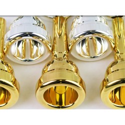 Trombone Basse - B1 MF Doré - Rath Michael - Embouchure