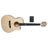 VGS P-20 CE POLARIS - Guitare 
