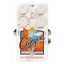 ELECTRO-HARMONIX Canyon Delay & Looper