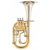 Alto mib GENEVA Oldroyd Cardinal - Verni