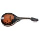Mandoline VGS A1 - Electroacoustique