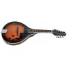 Mandoline VGS A1 - Electroacoustique