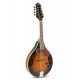 Mandoline VGS A1 - Electroacoustique