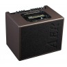 AER Compact 60W - Ampli Acoustique