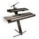 Stand clavier / Keyboard ULTIMATE AX-48 Pro PLUS