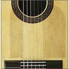 Electrostatic Protection Table Guitare