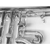 Montage Trigger coul. 1ère Cornet mib