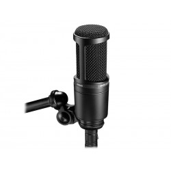 Audio-Technica AT2020 Micro Studiolarge diaph. + fixation