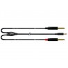 Cable Mini Jack 3,5 Stereo -  2× jack 6.5mm - 6m