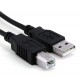 Câble USB High Speed - 2 mètres
