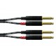 Cable double jack - jack 6m
