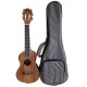 Ukulele Concert Acacia SMT + BAG