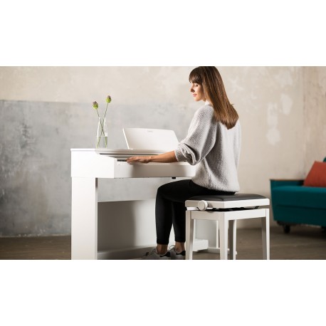 Piano Numérique CASIO CELVIANO AP-270WE