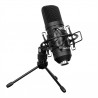 Micro Studio USB Cascha 5050