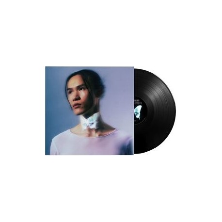 Vinyle "La loi du papillon" - Nuit Incolore