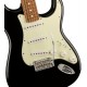 Fender Stratocaster Player Limited Edition Black - Guitare Electrique