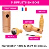 Appeaux Soufflés - Oiseaux de nos campagnes - Boite de 5