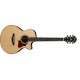 IBANEZ AE255BT Electro-Acoustique Baryton