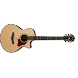 IBANEZ AE255BT Electro-Acoustique Baryton