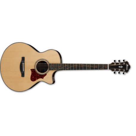 IBANEZ AE255BT Electro-Acoustique Baryton