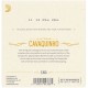 Cavaquinho Set, Stainless Steel .011-.028 Wound on Steel Set