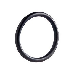 Joint O'Ring "Petit" Ø 25.1mm - Cor des alpes