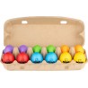 EGG SHAKER SET - 18 Oeufs Maracas Meinl