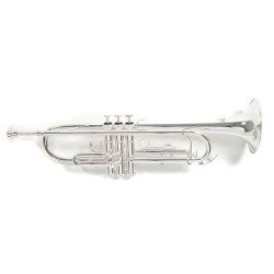 Trompette ROY BENSON TR202 Argenté