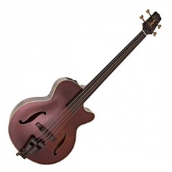 TAKAMINE Basse / Contrebasse 3/4 Acoustique TB10