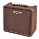 ZAR Acoustique - 40Watt + Reverb - Ampli Combo