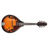 Mandoline IBANEZ M510 Electro-acoustique + Coffre