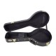 Mandoline IBANEZ M510 Electro-acoustique + Coffre