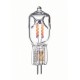 Ampoule Halogen 240V 300W - + LIQUIDATION50%