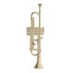 pin's Broche Trompette - LIQUIDATION50%